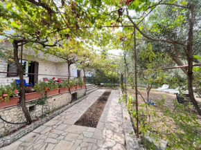 Apartman Mišo